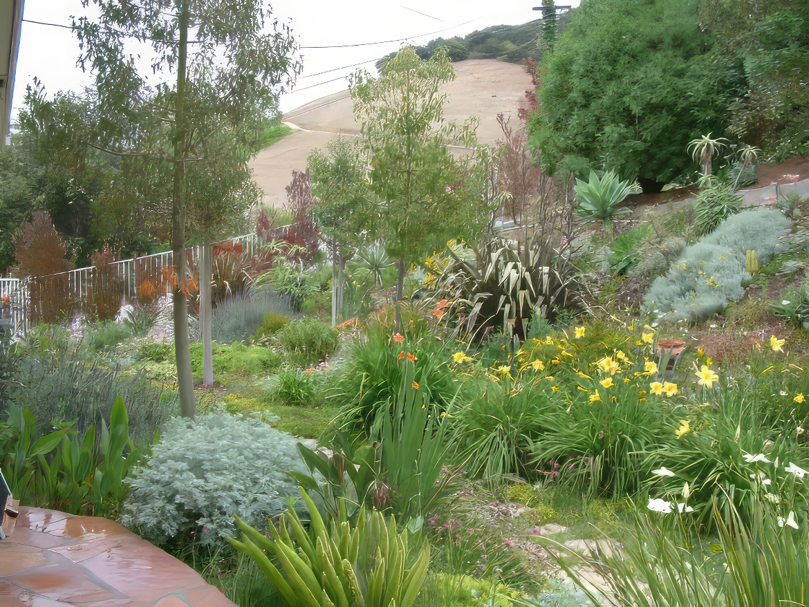 Mediterranean Hillside Garden