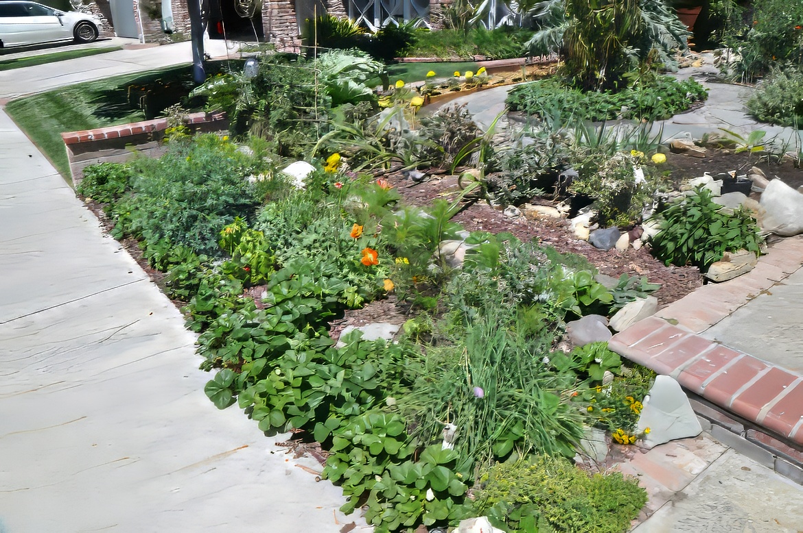 Dream Veggie Garden 1